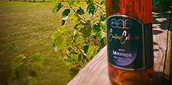 FineWines FineWines