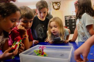 STEAM Summer Camp