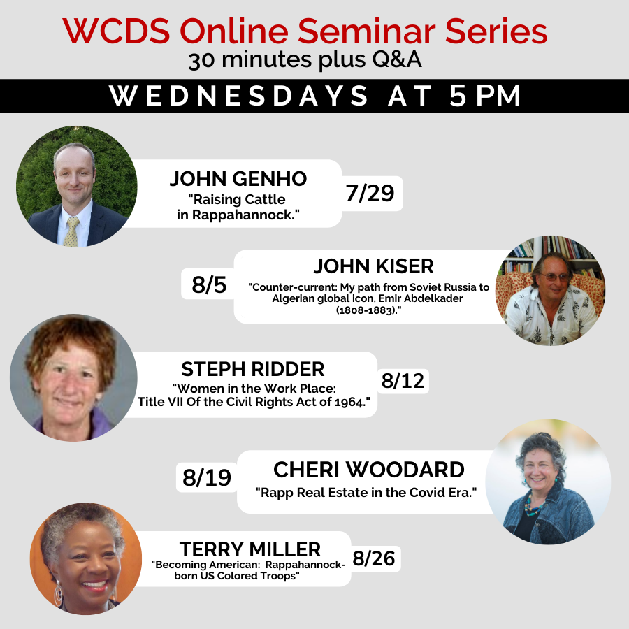WCDS | WCDS Online Seminar Series