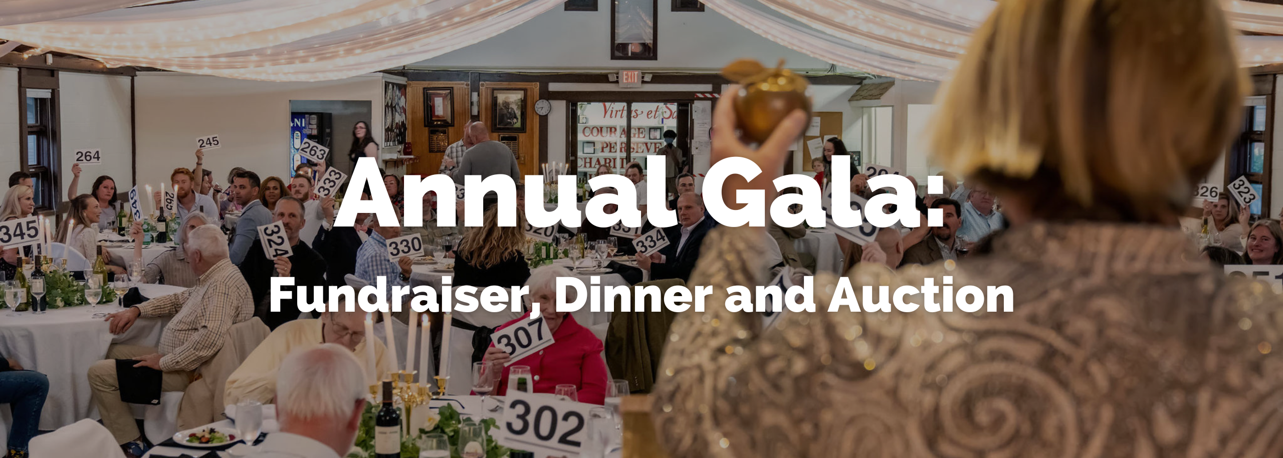 Gala: Fundraiser, Dinner and Auction